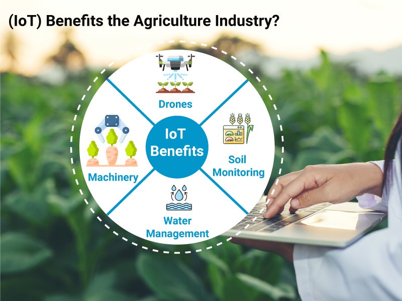 Benefits of IoT in Agriculture Industry
